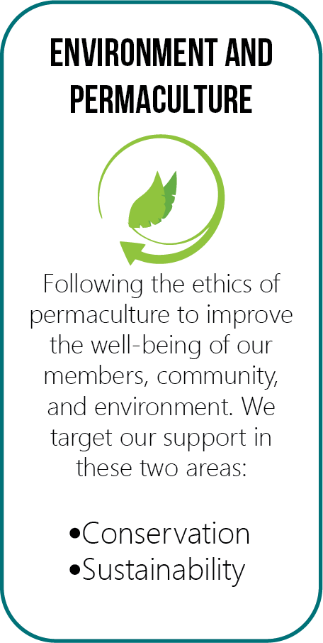 Environment and Permaculture